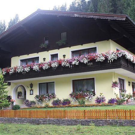 Schwarzenbacher Лунгёц Экстерьер фото