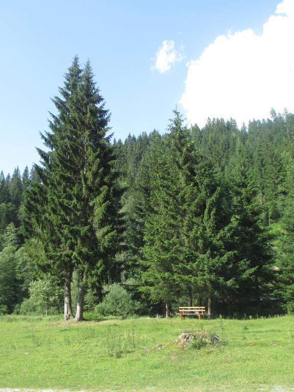 Schwarzenbacher Лунгёц Номер фото