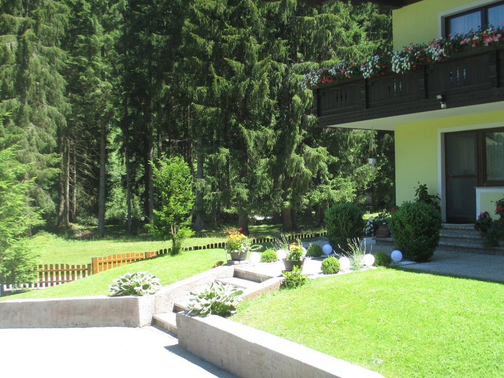 Schwarzenbacher Лунгёц Номер фото