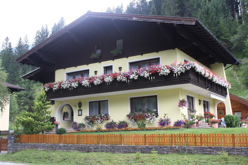 Schwarzenbacher Лунгёц Экстерьер фото